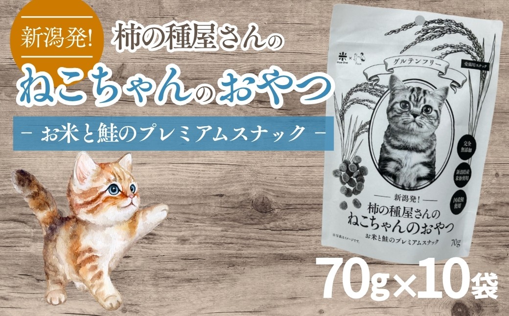 
            柿の種屋さんのねこちゃんのおやつ　お米と鮭のプレミアムスナック10個セット 阿部幸製菓【0002-0387-01】
          