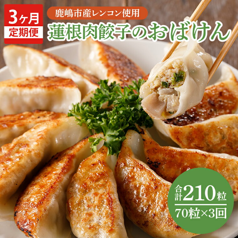 【ふるさと納税】【3ヶ月定期便】蓮根肉餃子のおばけん【70粒×3回】【野菜 ギョーザ れんこん しゃきしゃき おいしい ストック 茨城県 鹿嶋市】（KBU-10）