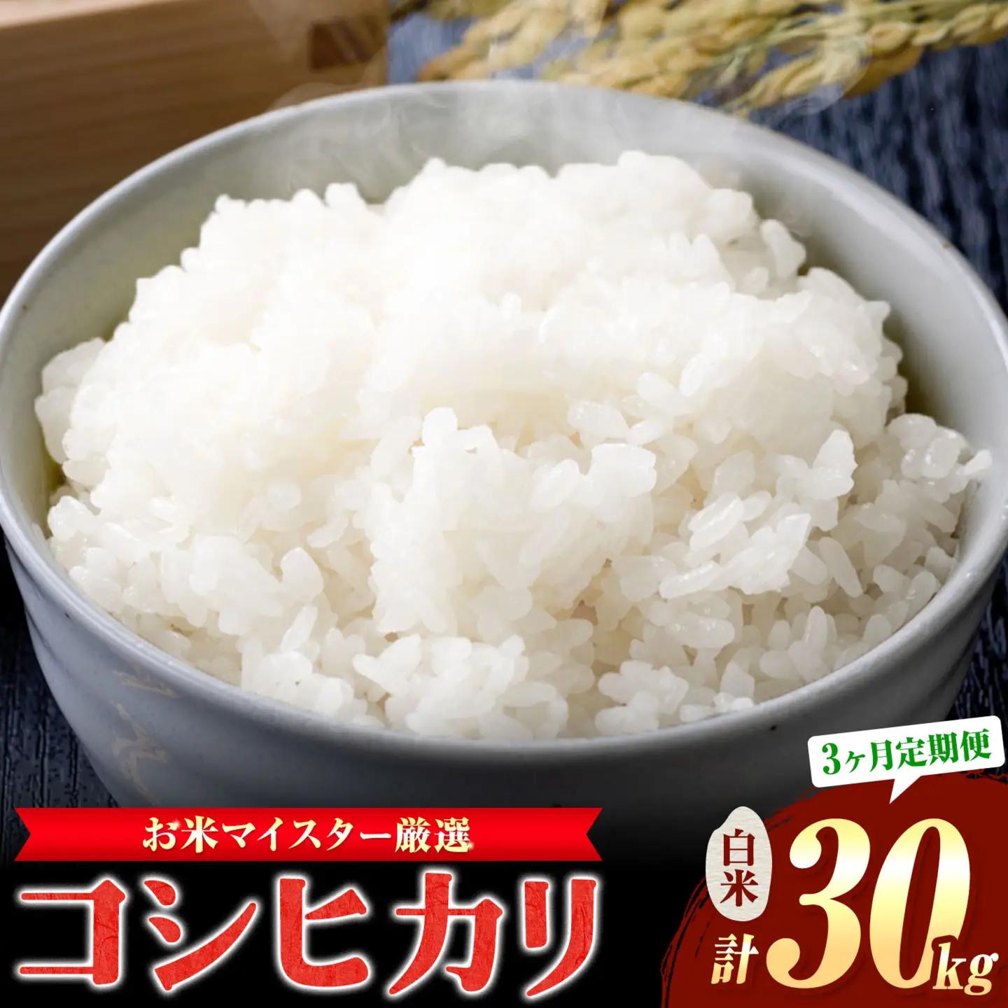 米 コシヒカリ 白米 10kg 3ヶ月 定期便 お米マイスター 厳選 山中米穀 米