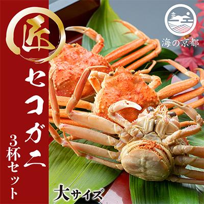 ふるさと納税 宮津市 セコガニ　コッペがに　大サイズ 3杯セット