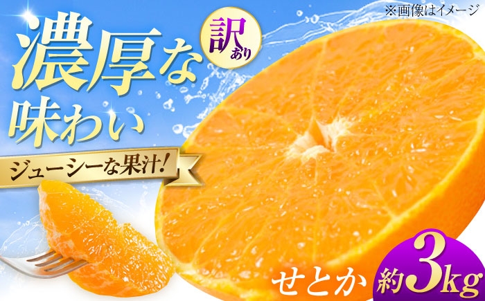 
                  みかん 訳あり せとか 約3kg サイズ不揃い【1月下旬から2月中旬まで順次発送】/ フルーツ 果物 蜜柑 ミカン オレンジ 訳あり 訳アリ 小玉 甘い 先行予約 3kg 愛媛 ジューシー 芳醇 薄皮 濃厚 甘み 旬 旬の味覚 お取り寄せ 贈答 フルーツギフト 柑橘詰め合わせ 完熟 柑橘 旬 不揃い 人気 おすすめ / 愛媛県砥部町/株式会社フルーツファーム健治郎 [BJBE002]
                