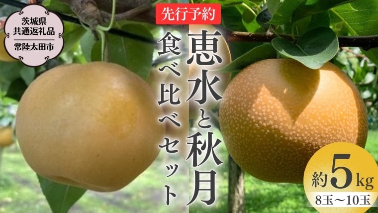 
            【 2025年 先行予約 】 厳選 2種！恵水 と 秋月 の 食べ比べセット 約5kg 8玉～10玉 【 茨城県共通返礼品 ／ 常陸太田市 】 2025年9月中旬発送 桧山果樹園 フルーツ 甘い 直送 茨城 限定 ギフト 梨 恵水 秋月 旬 贈答 果物 [DU020sa]
          