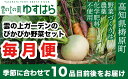 【ふるさと納税】農薬化学肥料不使用 雲の上ガーデンのぴかぴか野菜セット（10回お届け）季節にあわせて10品目前後を毎月お届け【L003】季節 旬 詰め合わせ 採れたて 新鮮 産地直送 高知県産 冷蔵便 定期便