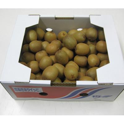 ふるさと納税 東かがわ市 さぬきキウイっこ　約2kg |  | 01