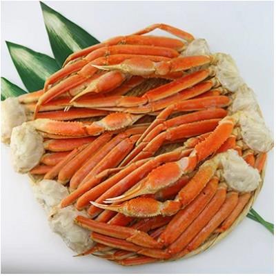 ふるさと納税 岸和田市 ボイルずわいがに 4Lサイズ 3.0kg(7〜9肩)