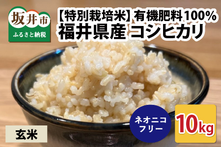 【先行予約】【令和7年産・新米】【特別栽培米】福井県産 コシヒカリ 10kg ～化学肥料にたよらない有機肥料100%～ ネオニコフリー（玄米）【2025年10月上旬以降順次発送予定】 [A-13405_02]