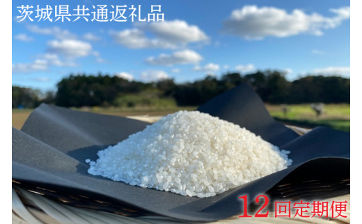 12ヶ月定期便【できるだけ農薬を減らした】こしひかり 白米5kg×12回【茨城県共通返礼品・行方市産】（KBE-37）