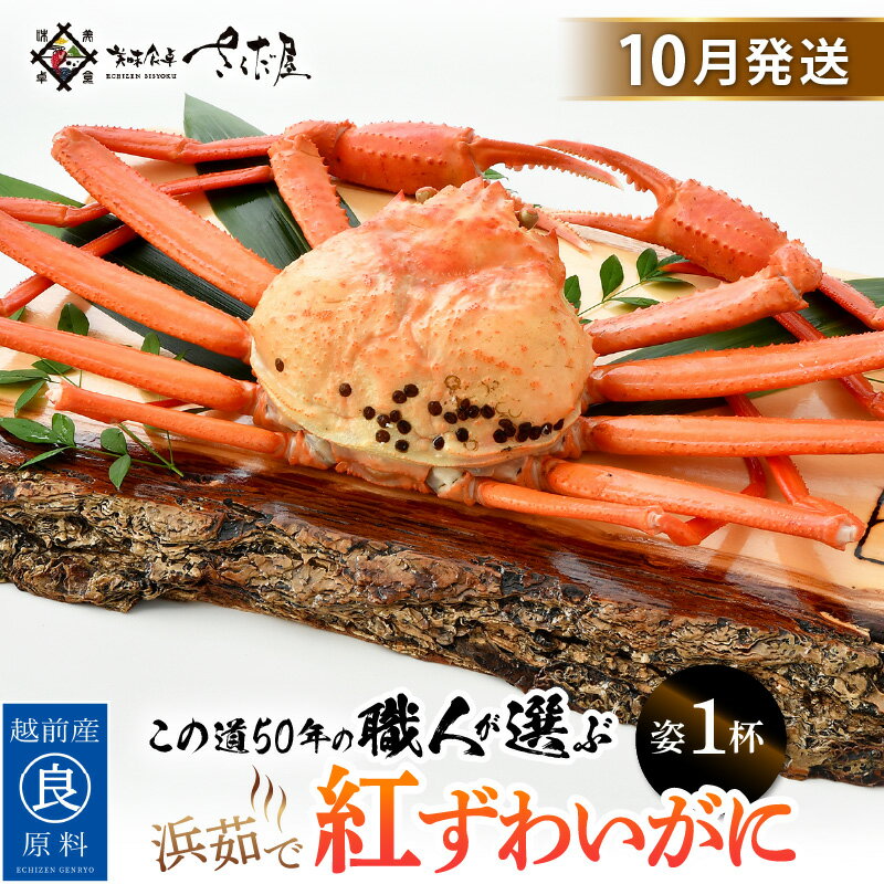 【ふるさと納税】≪浜茹で≫紅ずわいがに × 1杯 この道50年の職人が選びました！【紅ズワイガニ 紅ずわい蟹 かに カニ 蟹 姿 ボイル 冷蔵 福井県】【10月発送分】希望日指定可 備考欄に希望日をご記入ください [e04-x013_10]