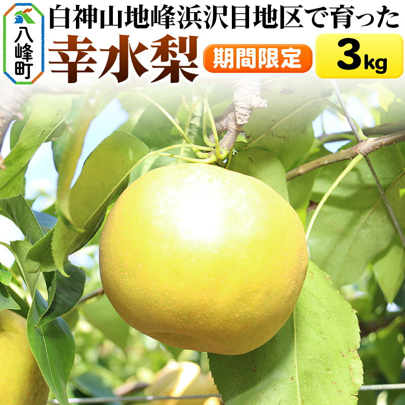【ふるさと納税】梨 幸水 3kg【期間限定】 白神山地峰浜沢目地区で育った和梨