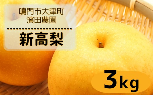 【予約受付中】【9月下旬～10月上旬より順次発送】濱田農園 新高梨 約3kg 【数量限定】