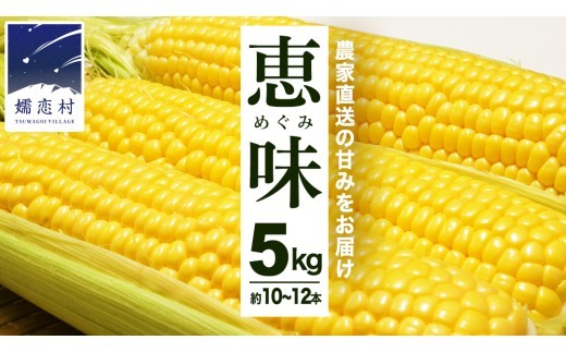 
                  《発送時期選べる》 甘～いトウモロコシ 恵味 5kg 約10～12本 とうもろこし 産地直送 羽生田売店 期間限定 先行予約 人気 朝採り お取り寄せ 関東 群馬 先行受付  [AL005tu00] 
                