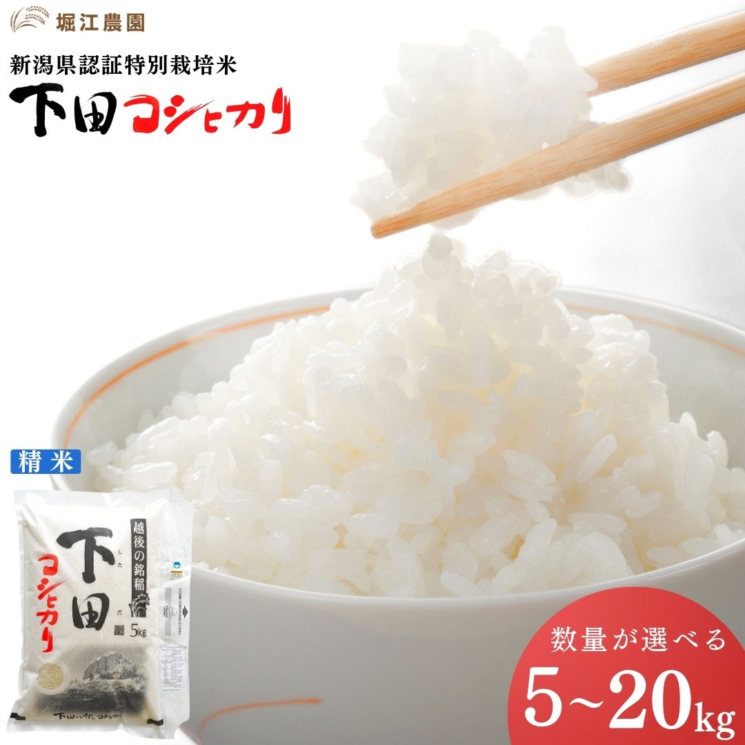 【ふるさと納税】新潟県認証特別栽培米 下田コシヒカリ 5kg〜20kg 量が選べる 令和7年産 三条市産 こしひかり [堀江農園]【011S161】