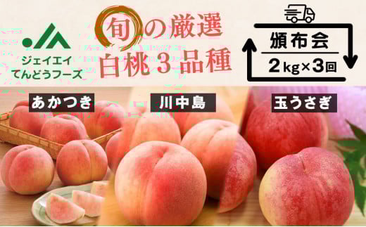 08-01-034　もも３種の頒布会(定期便)全3回