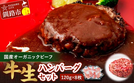 8月発送 釧路生まれ、釧路育ちのオーガニックビーフ 生ハンバーグ120g×8枚   F4F-3495