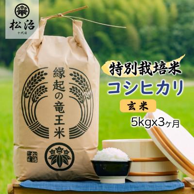 ふるさと納税 竜王町 【毎月定期便】特別栽培米コシヒカリ 玄米5kg×3ヶ月 縁起の竜王米全3回