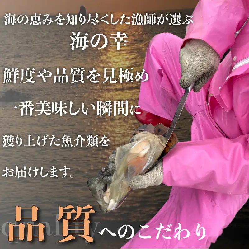 愛知県産平貝(タイラギ)干物 (塩味 醤油味 各1パック)セット冷凍 干物 貝 魚介類 醤油 塩 しお しょうゆ 平貝 かい カイ 魚貝