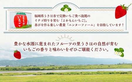 【2026年3月発送】 よかもんいちご あまおう苺セット 6パック （計約1.62kg） よかもん苺 苺 いちご イチゴ 果物 果実 フルーツ 九州 福岡県 うきは市 冷蔵