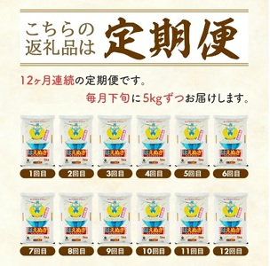SU0020　【12回定期便】［精米］はえぬき　5kg×12回(計60kg) TO