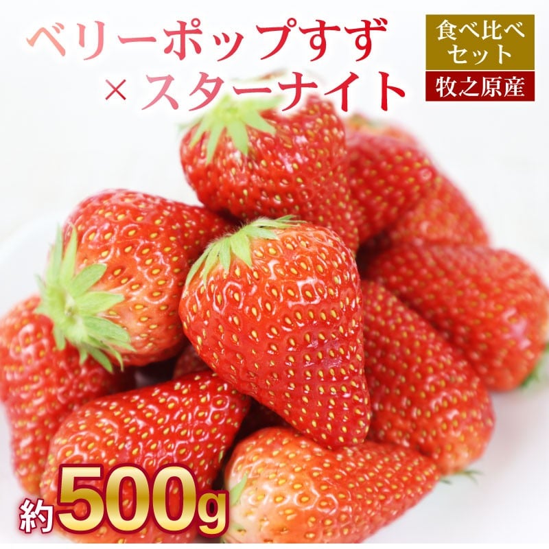 
                  【先行予約】ベリーポップすず ＆ スターナイト 計500g いちご 食べ比べ ギフト 産地直送 朝採り スイーツ フルーツ 果物 大粒 完熟  イチゴ 苺 ストロベリー ベリー 新鮮 国産 2パック デザー おいしい 贈り物 果物 ストロベリー 甘い 朝摘み おやつ 完熟 直送 ギフト 贈答用 贈答 ギフト ビタミン ベリー 産地直送 国産 おすすめ 静岡 県 牧之原 市 極実屋 KIWAMIYA
                