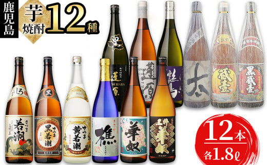 
志布志の本格芋焼酎3蔵元飲み比べセット(各1.8L・計12本) j0-003
