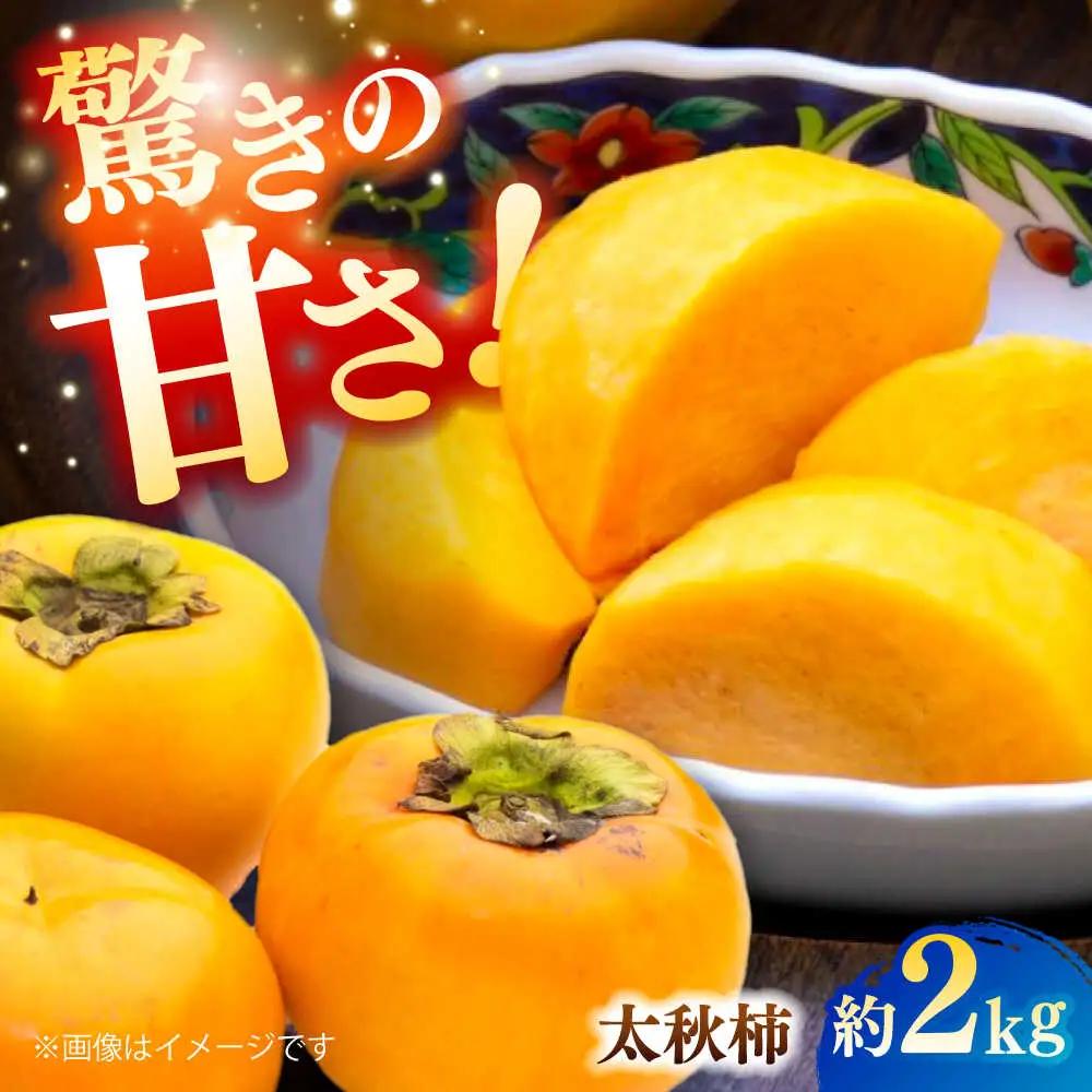 【先行予約】太秋柿 約2kg 柿 カキ フルーツ 果物 秋 【日本フルーツ株式会社】 [ZFJ021]