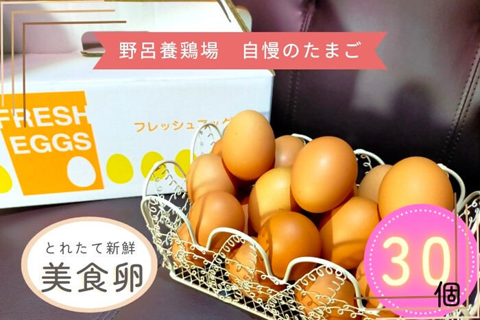 
1520 こだわり 自慢のたまご 美食卵 30個 伊勢産 野呂養鶏場 ふるさと納税 玉子 国産 新鮮 濃厚 たまご 卵 生卵 とれたて 卵かけごはん TKG お取り寄せ グルメ 伊勢志摩 三重県 伊勢市
