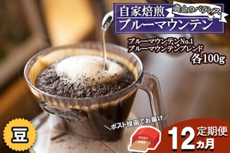 コーヒー豆 Morrow珈琲 ブルーマウンテンNo.1 ブレンド コーヒー豆【各100g】【定期便12ヶ月】