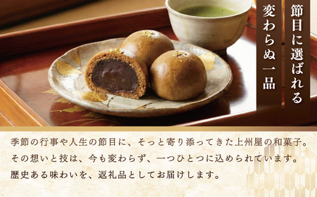江ノコロ クッキー 江ノ電土産 クッキー