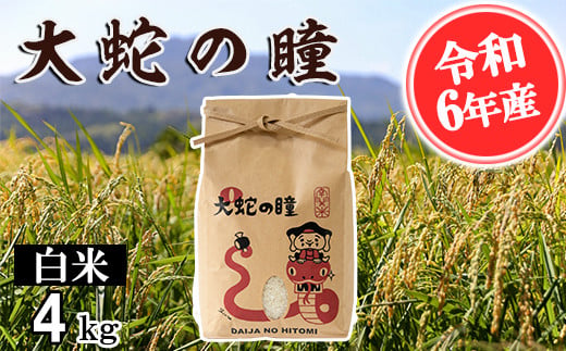 【令和6年産】大蛇の瞳 白米 4kg 精米 熊本県 南関町産 単一原料米 コシヒカリ 産地直送 コメ お米 ごはん