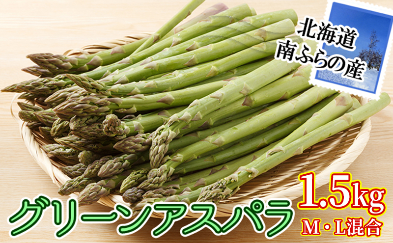 南ふらの産 グリーンアスパラ 1.5kg (M・L混合) 北海道 南富良野町 アスパラ アスパラガス 野菜 2024年発送 先行予約