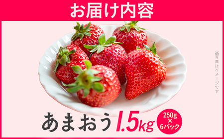 あまおう いちご 大容量 1.5kg 250g×6パック 苺 フルーツ 果物 福岡 九州 グルメ お取り寄せ 3月上旬～4月上旬頃出荷予定