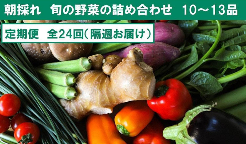 
                  『定期便 全24回』【隔週お届け】朝採れ旬の野菜の詰め合わせ | 野菜セット セット 野菜定期便 新鮮 野菜 毎月  人気 おすすめ 高知県 南国市
                
