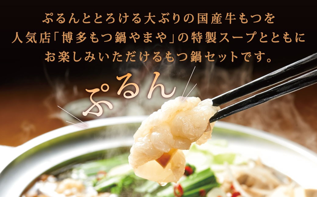 博多もつ鍋やまや もつ鍋セット あごだし醤油味（3～4人前） 計約900g