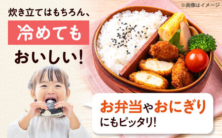 【全3回定期便】お米 10キロ 米 お米 白米 コメ おこめ 10kg 大阪府高槻市/ベジ彩ファーム[AOEJ011]