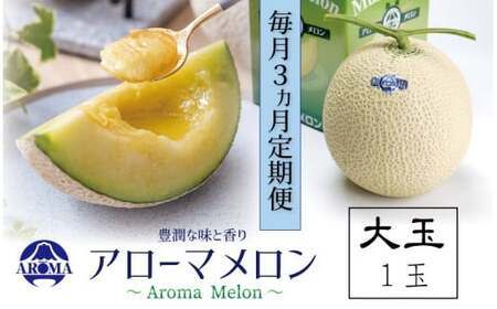 【3ヶ月定期便】静岡県産高級 アローマメロン 白等級 大玉1玉 約1.5kg以上×大玉1玉×3回 計約4.5kg以上 化粧箱入 果物 フルーツ メロン めろん 青肉 高級ブランドメロン ブランドメロン 高級メロン 贈答
