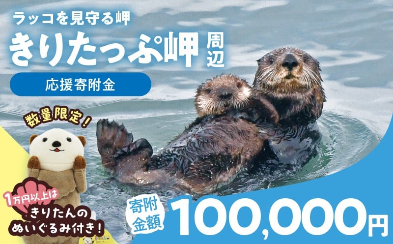 
            ラッコを見守る岬「きりたっぷ岬」周辺の環境整備　100000円分「きりたん」ぬいぐるみ付き_H0028-015-kiri
          