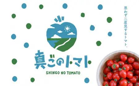 【定期便2回】ミニトマト トマトベリー 約1.8kg｜坂本農園