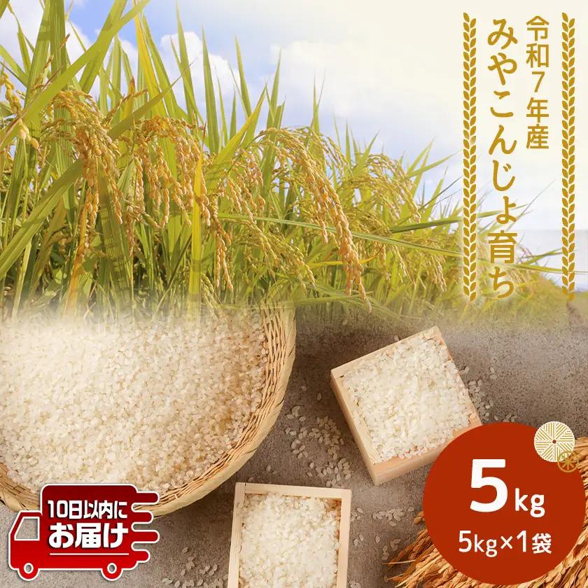みやこんじょ育ち都城産ひのひかり5kg≪みやこんじょ特急便≫〔14-K7-001-5kg-Q〕_(都城市) 都城産 ひのひかり 5kg 田園 霧島裂罅水 土づくり こだわり 都城米 甘み 旨味 粘り 