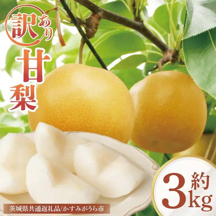 【8月中旬より発送】【数量限定】訳あり 甘梨（なし） 約3kg（茨城県共通返礼品／かすみがうら市）（FW-8）