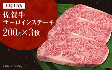 佐賀牛サーロインステーキ 計600g（200g×3枚）[HDH007]