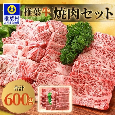 宮崎県産 椎葉牛 焼肉セット【600g】TK-23