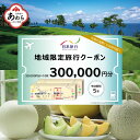 【ふるさと納税】【福井県あわら市】 日本旅行 地域限定旅行クーポン【300,000円分】 ／ 旅行 宿泊 旅館 ホテル 宿泊券 チケット 北陸新幹線 観光 あわら温泉 北陸 福井県 あわら市