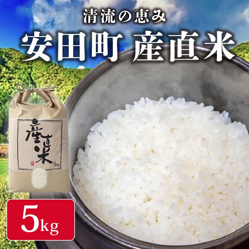 【 令和8年産 新米 】 《先行予約》 安田町産 産直米 ヒノヒカリ 5kg 地元でしか出回っていなかった”幻”の国産米 農地直送 米 農家直送 米 お米 白米 ご飯 ヒノヒカリ 幻のお米 家庭用 国産米 コシヒカリ 精米 和食 ライス 日本食 人気 年末年始 高知県 安田町 SK-0001