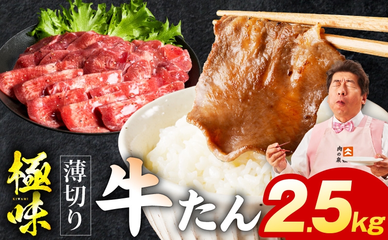 
                  【スピード発送】薄切り牛たん 2.5kg【氷温熟成×旨塩ダレ 味付き 訳あり サイズ不揃い 500g 小分け 焼くだけ 焼肉】
                