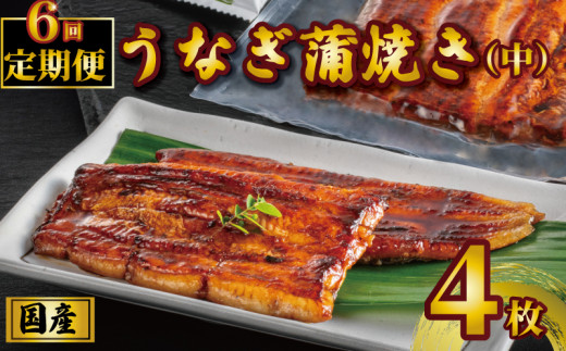 国産うなぎ蒲焼き タレ・山椒付き 4枚 1枚約100g 定期便6回  うなぎ 鰻 蒲焼 定期便 うな重 鰻丼 うな丼 ひつまぶし 土用の丑の日 土用丑 魚 海鮮 魚介類 肉 冷凍 真空パック 個包装 小分け おつまみ おかず 惣菜 ビール 酒 焼酎 日本酒 ウイスキー  お取り寄せ ギフト プレゼント 贈答 贈答用 贈り物  お中元 お歳暮 母の日 父の日 敬老の日 千葉県 銚子市 石毛川魚店