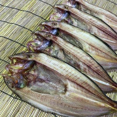 ふるさと納税 釧路市 釧路産・開き真ホッケ5枚 魚 魚介 海産物 干物 おかず 肴 ふるさと納税 ほっけ F4F-8606 |  | 01