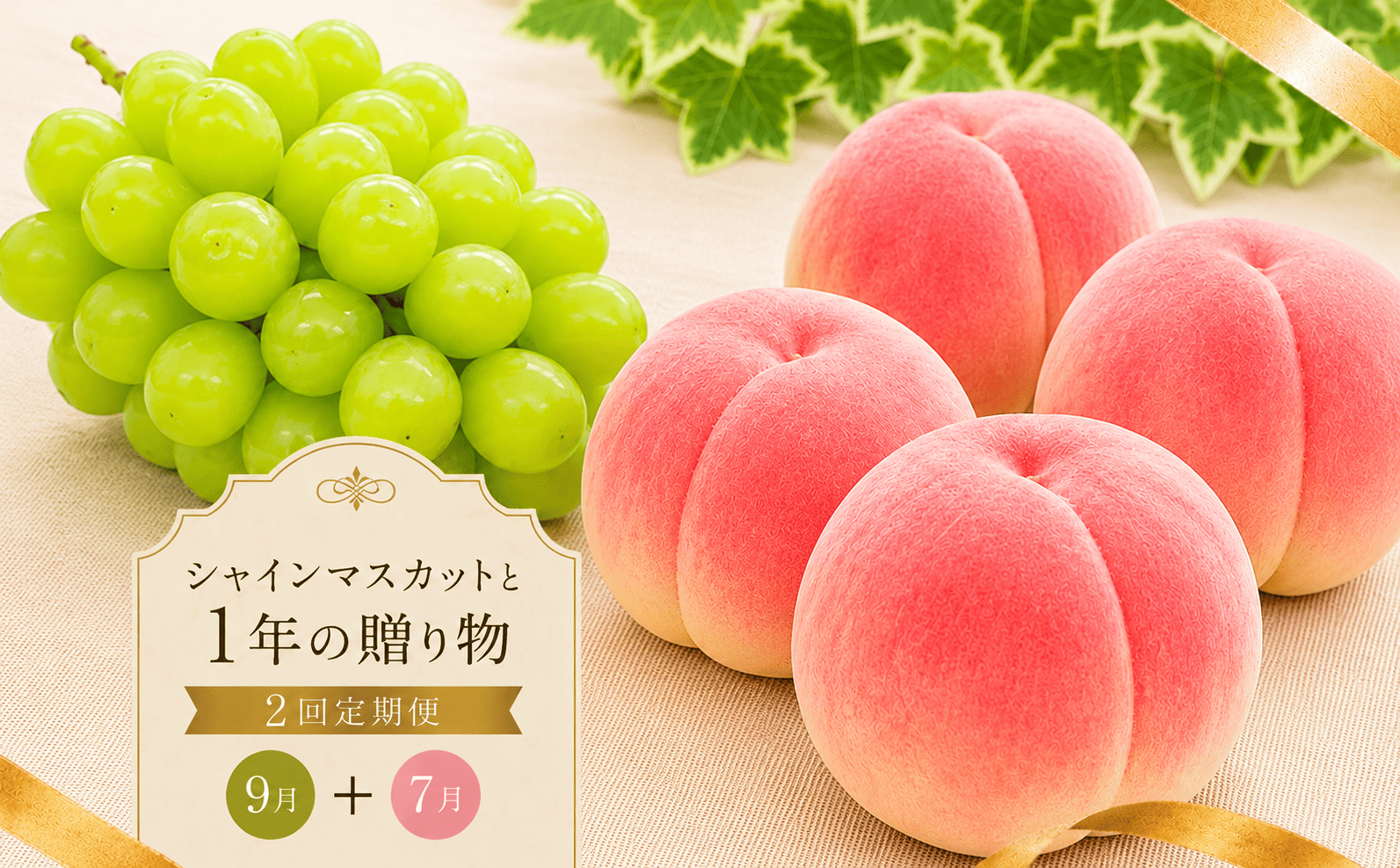 定期便 2回 シャインマスカット 桃 もも 丸亀の桃 飯山の桃 peach ぶどう 果物 フルーツ 旬 旬のフルーツ 贈答用 ギフト プレゼント 香川県 丸亀市
