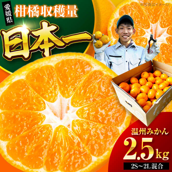 【ふるさと納税】【10月より順次発送】 温州みかん 2.5kg （2Sから2L混合サイズ） | 人気 おすすめ ランキング おいしい 甘い 愛媛 果物 くだもの フルーツ 柑橘 大洲市/玉川農園[AGBC004] 10000 10000円 以下