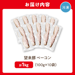望来豚ベーコン ブロック 100g×10｜ふるさと納税 無添加 ベーコン 北海道 石狩市
