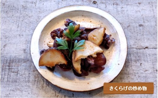 【希少/申込9月15日まで】純国産 生きくらげ900g（150ｇ×6パック）_1798R